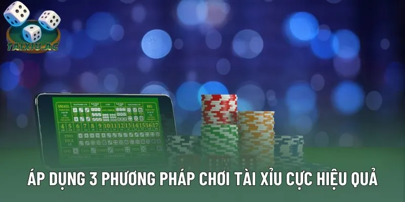 Áp dụng 3 phương pháp chơi tài xỉu cực hiệu quả Áp dụng 3 phương pháp chơi tài xỉu cực hiệu quả