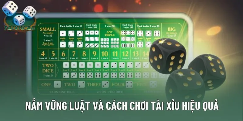 Nắm vững luật và cách chơi tài xỉu hiệu quả