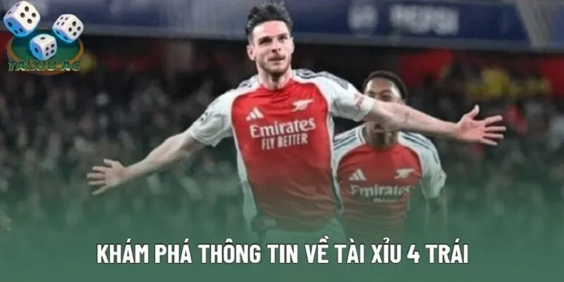 Khám phá thông tin về tài xỉu 4 trái