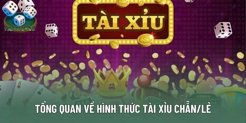 Tổng quan về hình thức tài xỉu chẵn/lẻ