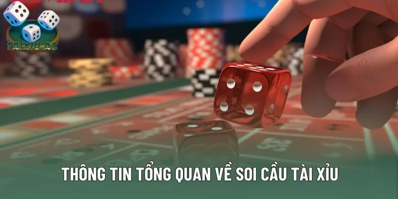Thông tin tổng quan về soi cầu tài xỉu Thông tin tổng quan về soi cầu tài xỉu