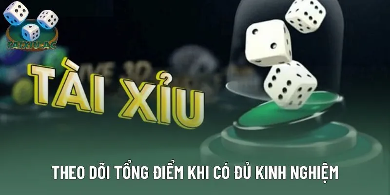 Theo dõi tổng điểm khi có đủ kinh nghiệm